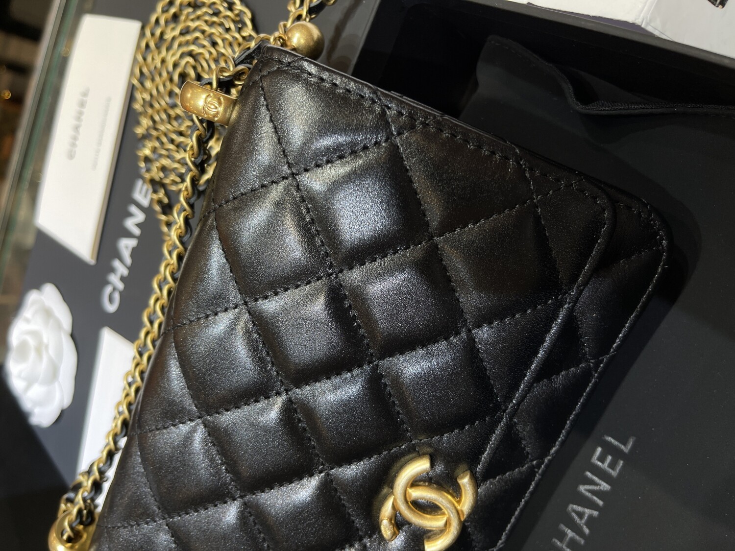 Chanel Woc 19