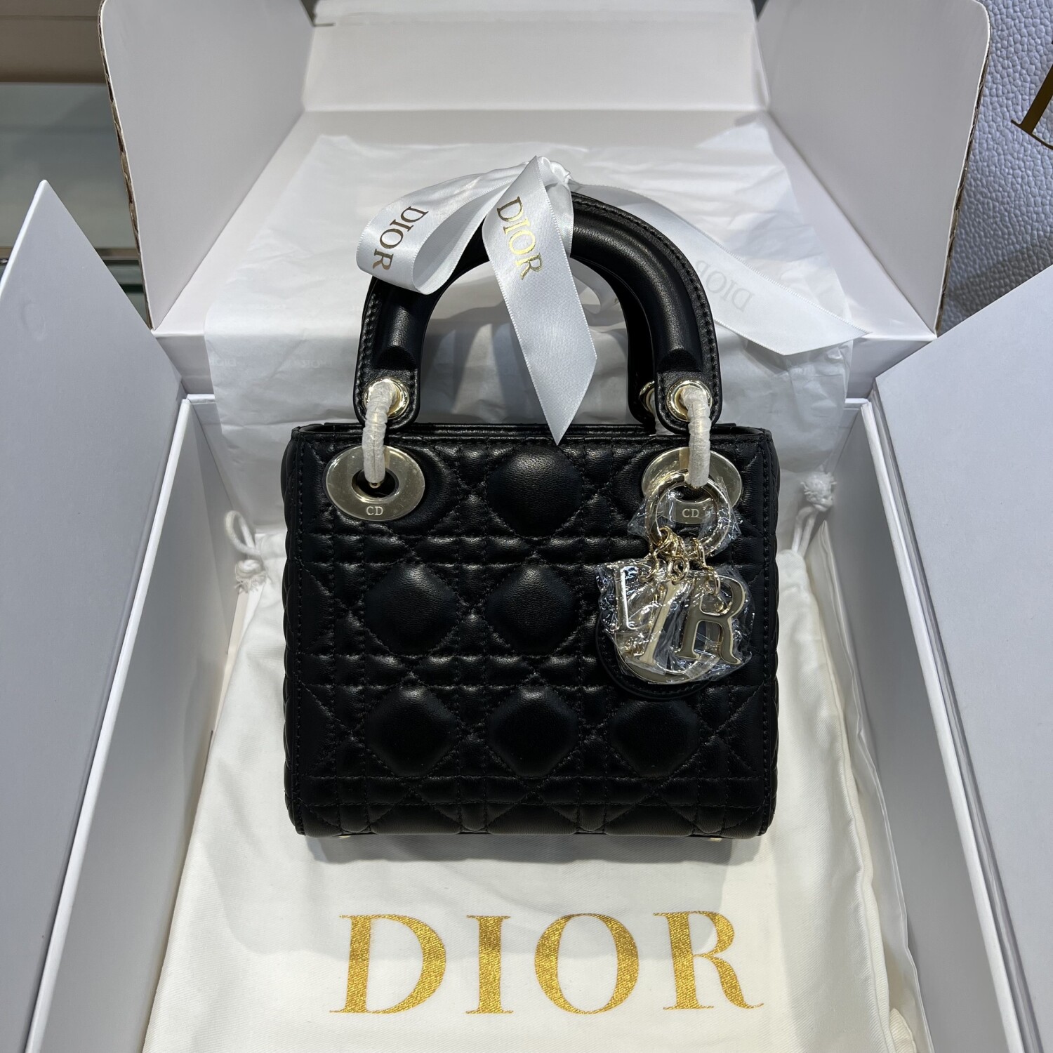 Dior Lady Mini