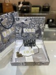 Dior Mini