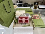 Gucci Dionysus Mini Bag 165