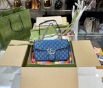Gucci Marmont Mutil Color