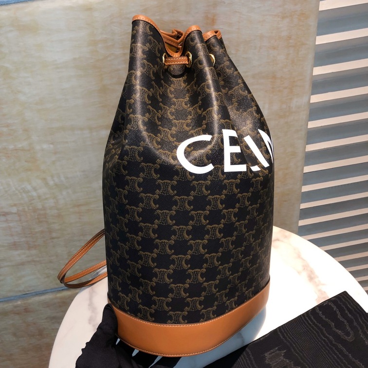 Celine Medium Sailor Bag In Triomphe Canvas With Celine Print
