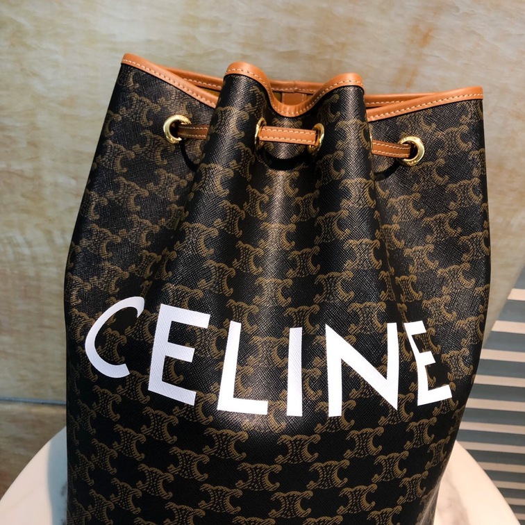 Celine Medium Sailor Bag In Triomphe Canvas With Celine Print
