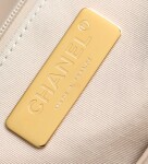 Chanel 19 Bag