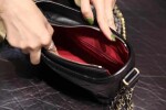 Gabrielle Hobo Bag