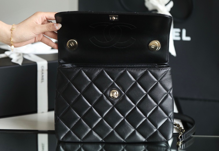 Lambskin Quilted Small Trendy Flap Bag