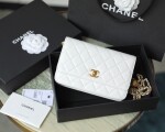 Wallet On Chain