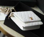 Wallet On Chain