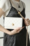 Wallet On Chain