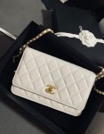 Wallet On Chain