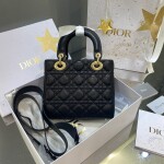 Lady Dior