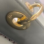 Lady Dior