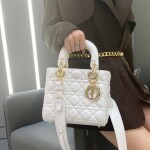 Lady Dior