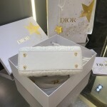 Lady Dior