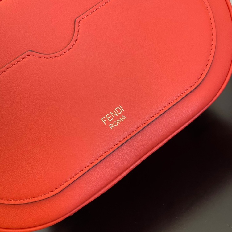 Fendi Camera Case Bag