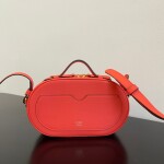 Fendi Camera Case Bag