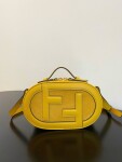 Fendi Camera Case Bag