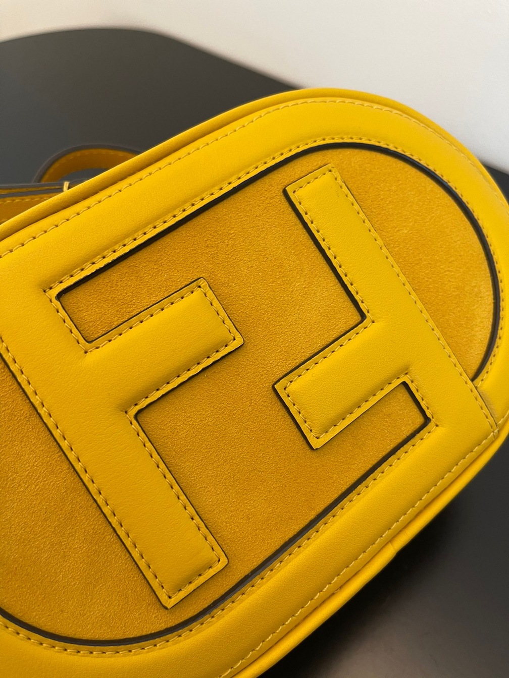 Fendi Camera Case Bag