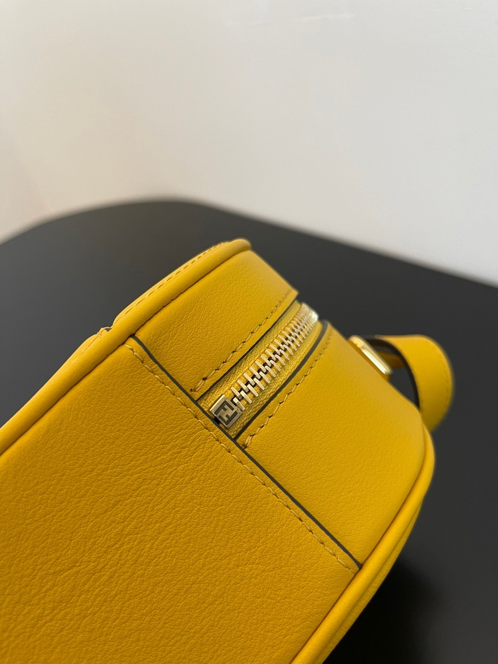 Fendi Camera Case Bag