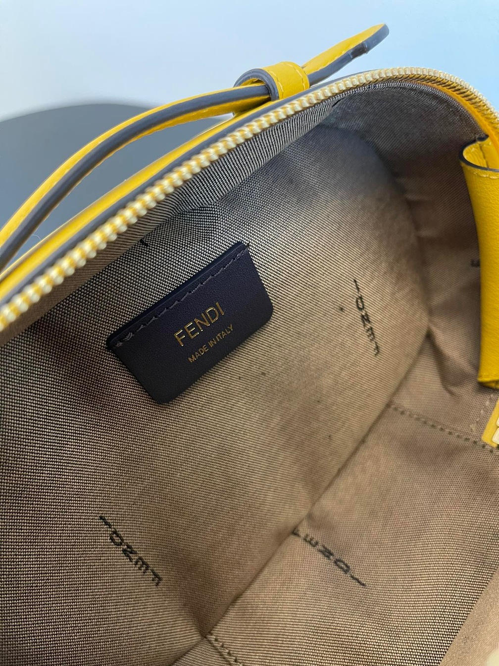 Fendi Camera Case Bag