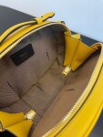 Fendi Camera Case Bag