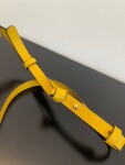 Fendi Camera Case Bag