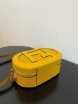 Fendi Camera Case Bag