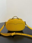 Fendi Camera Case Bag