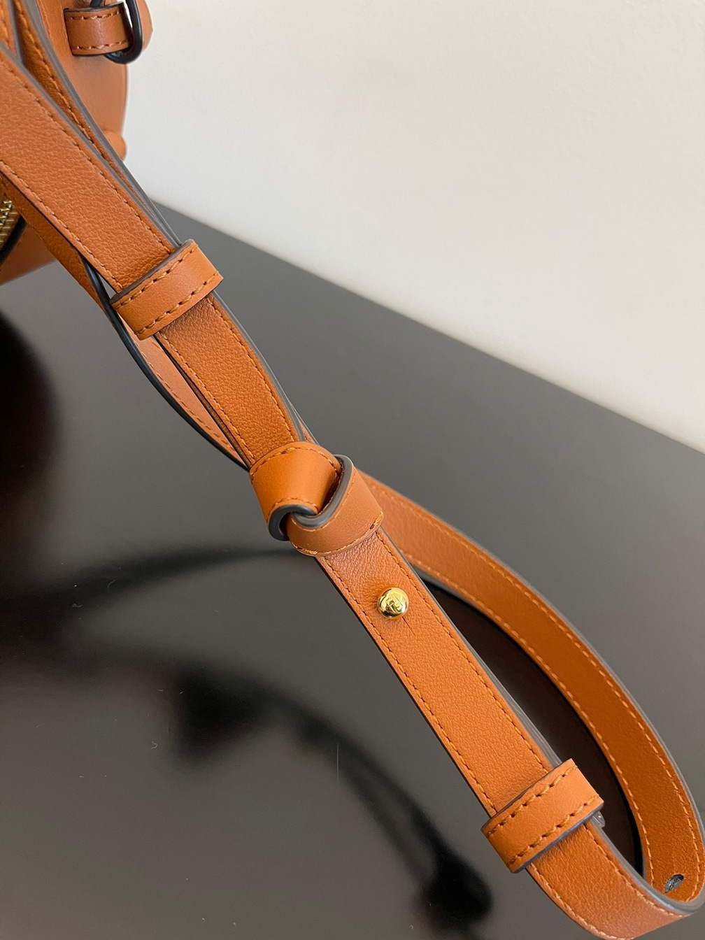 Fendi Camera Case Bag