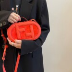 Fendi Camera Case Bag