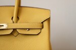 Togo Birkin