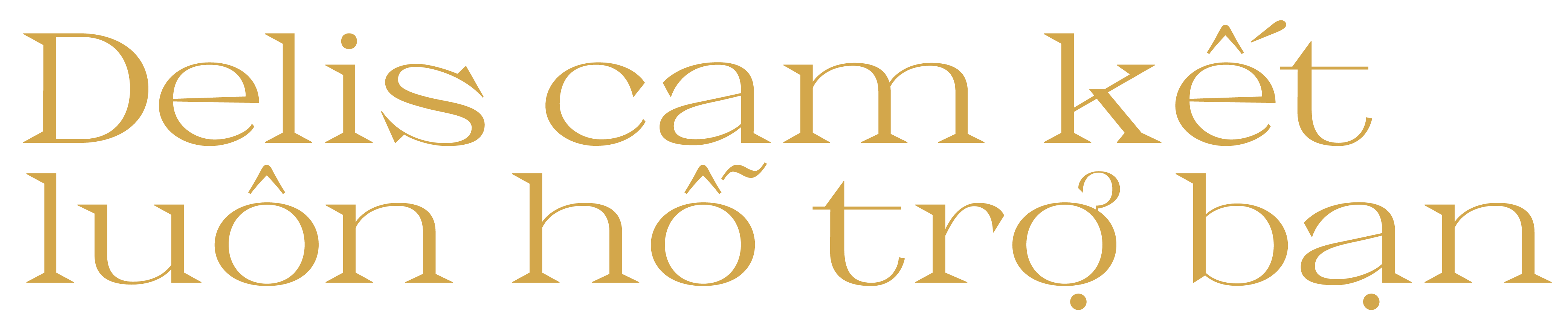Cam kết